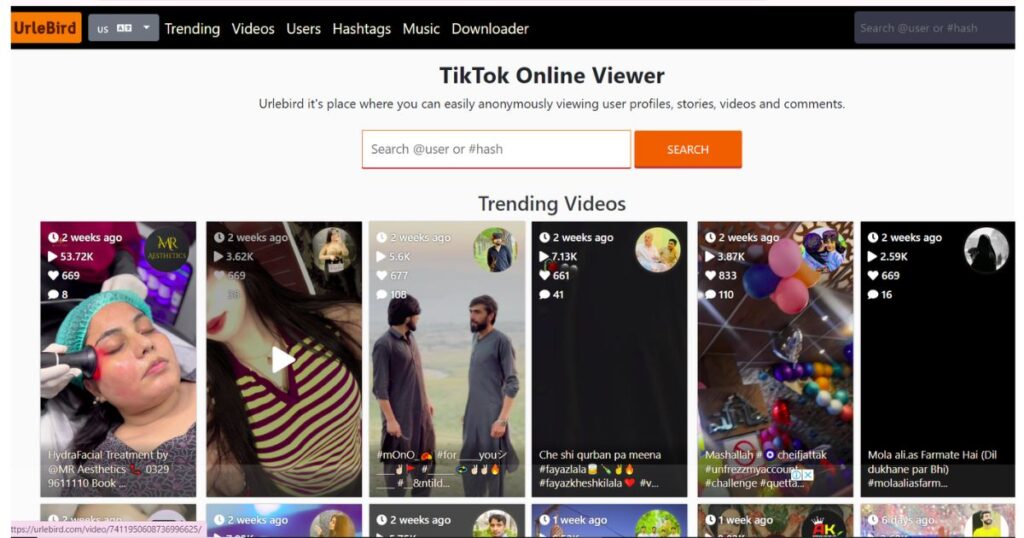 How to Search for TikTok Videos on UrleBird